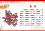 国粹 象棋 校园文化