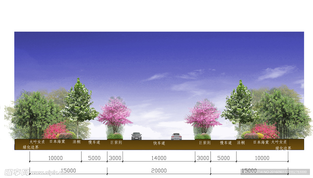 道路剖面效果图