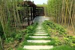 林间小路