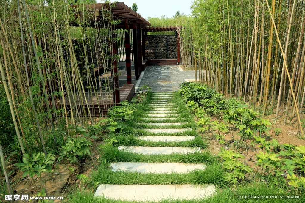 林间小路