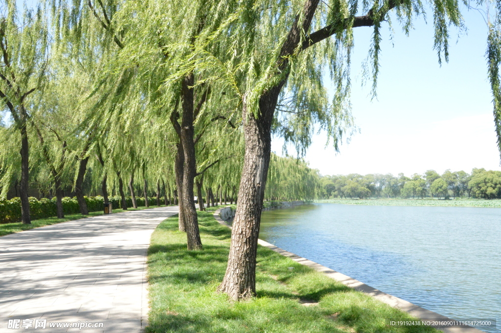 湖水风景