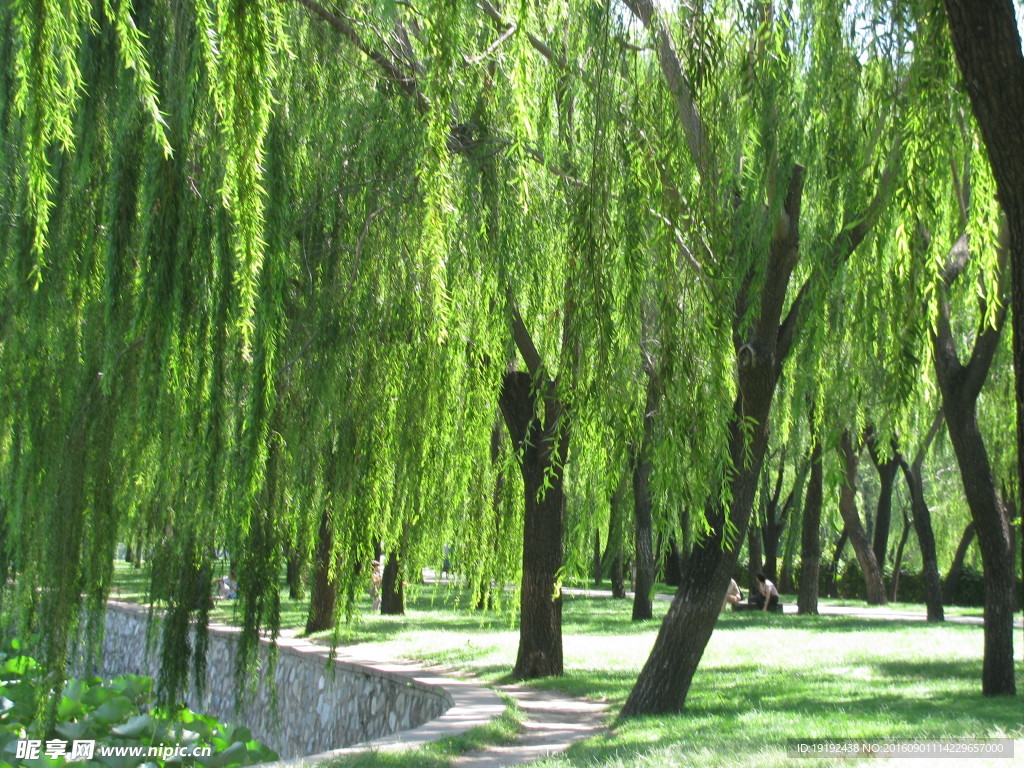 颐和园美景