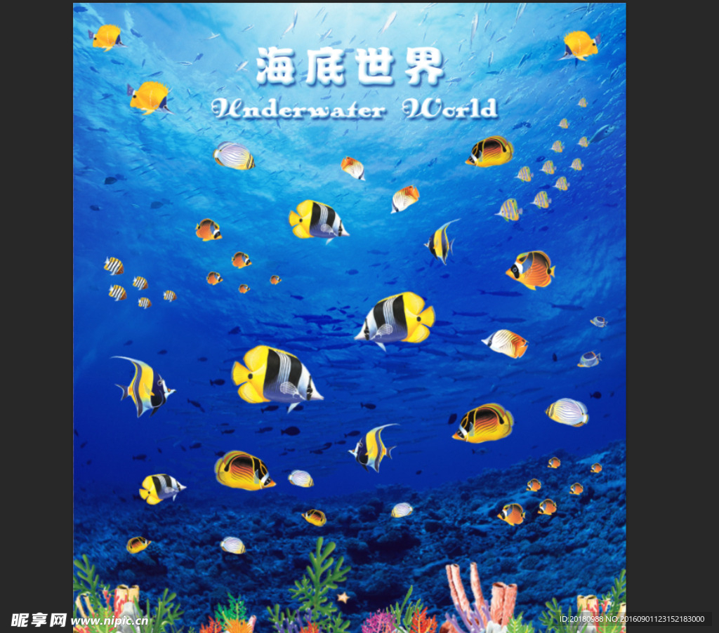 海底世界