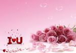 玫瑰花PSD素材模板