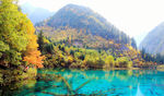 九寨风景