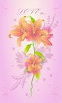 时尚花纹