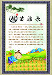 成语故事 揠苗助长 中华成语