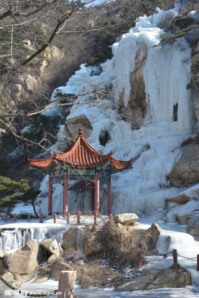 茶山冰雪