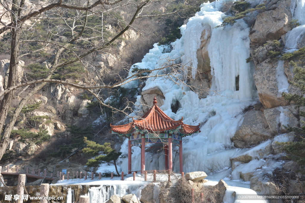 茶山冰雪