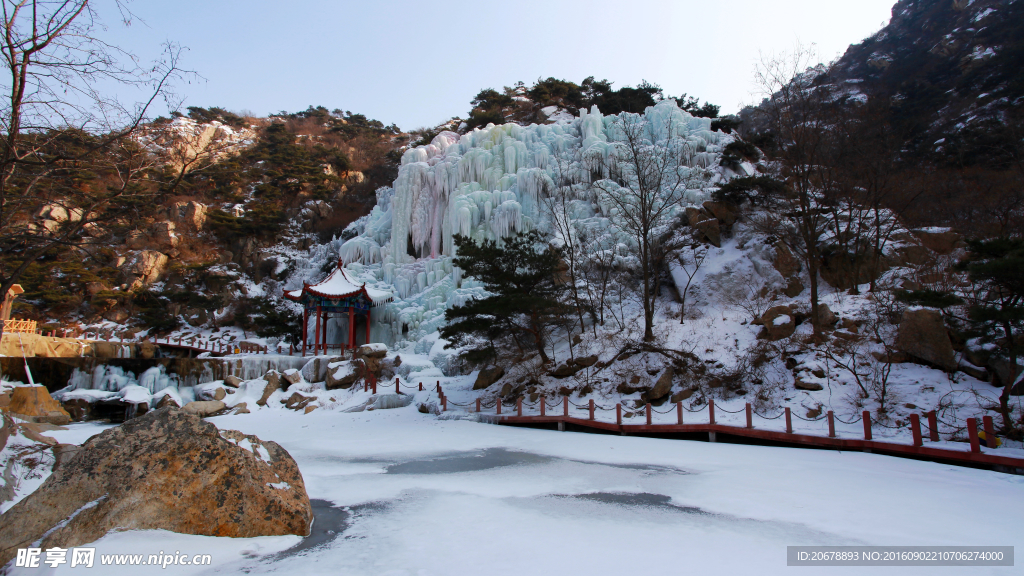 茶山冰雪