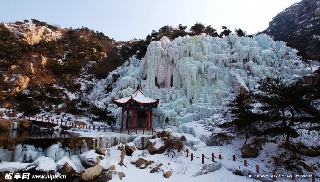 茶山冰雪