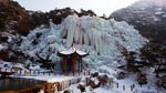 茶山冰雪