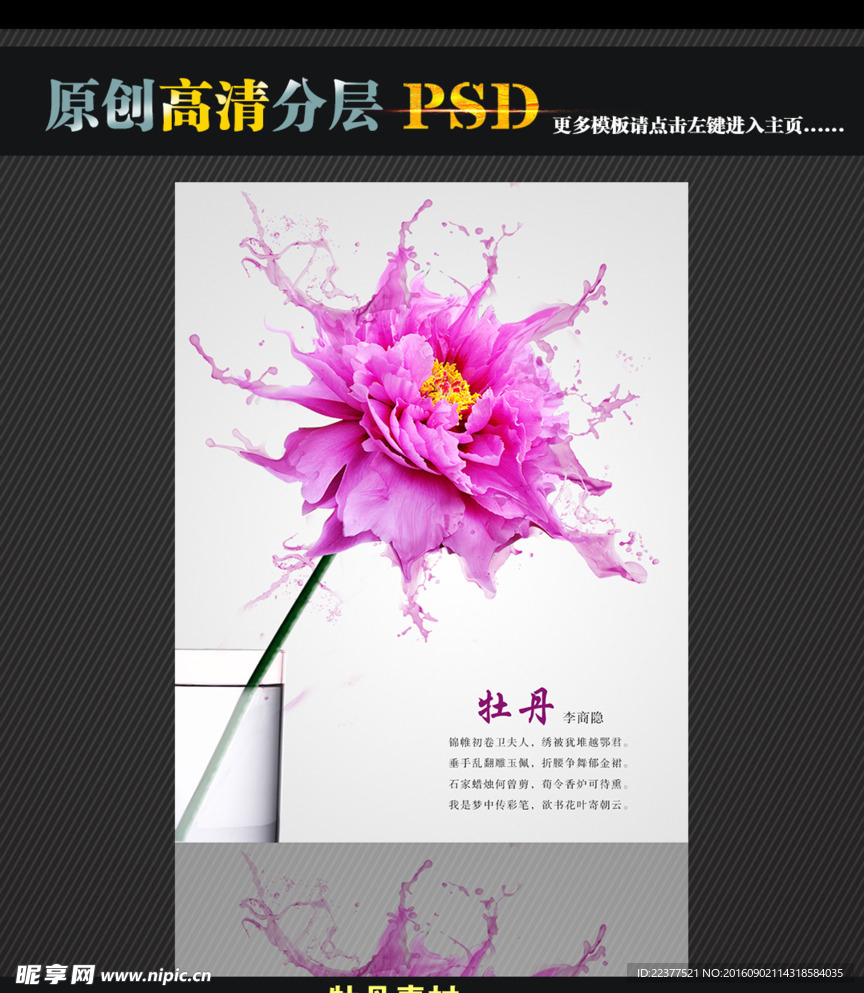 牡丹