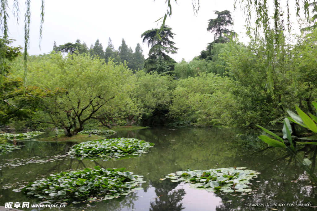 自然风景