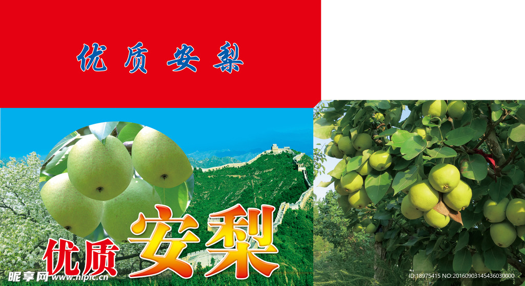 安梨包装