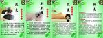 泥灸 刷刷瘦 艾灸 针灸