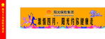阳光下的奔跑