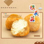 猴头菇banner