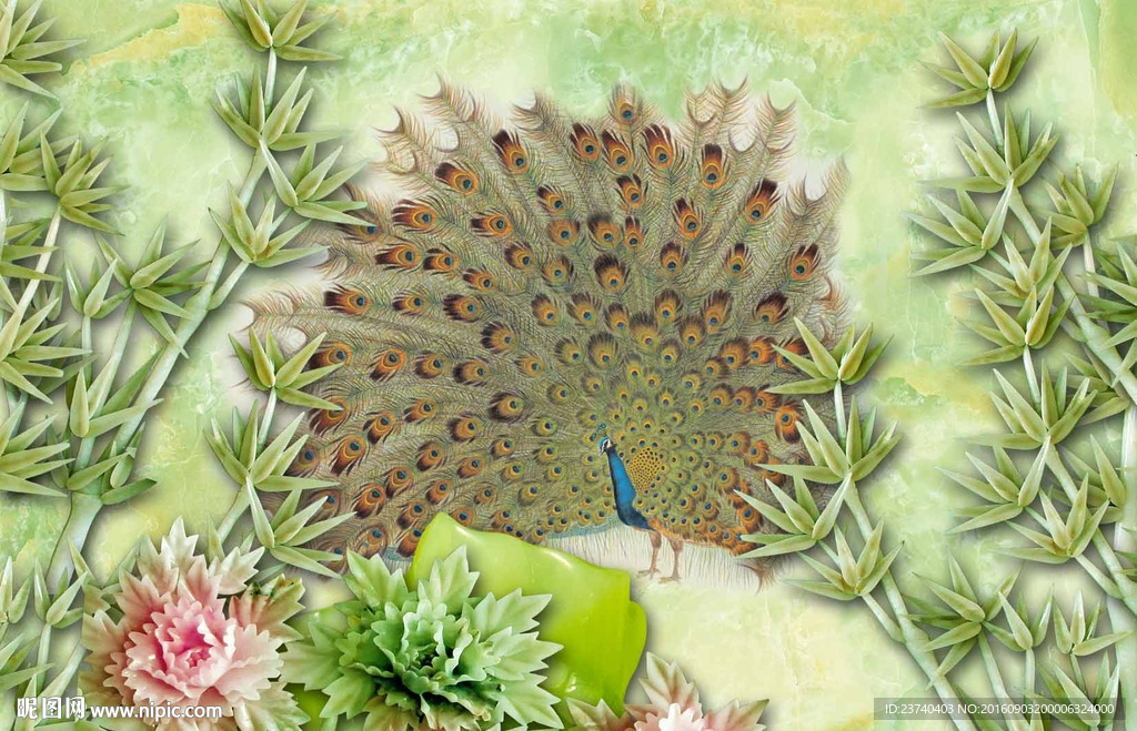 3d背景墙 孔雀