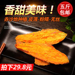 地瓜直通车海报