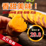 地瓜直通车海报