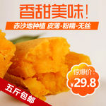 地瓜直通车海报