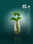 植物海报