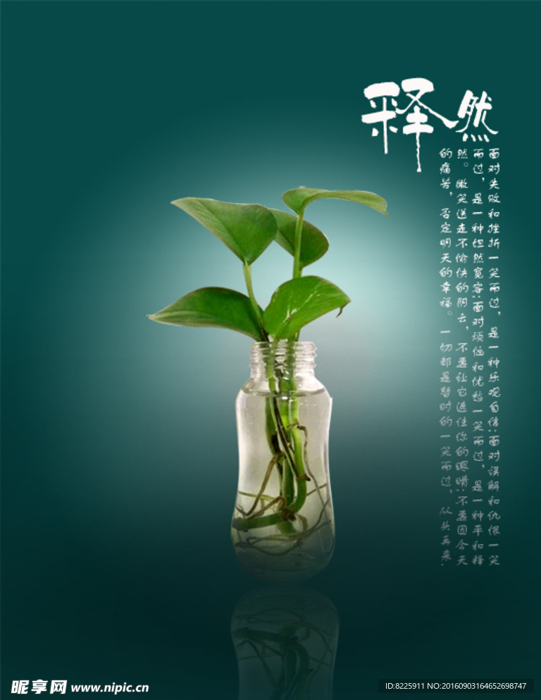 植物海报