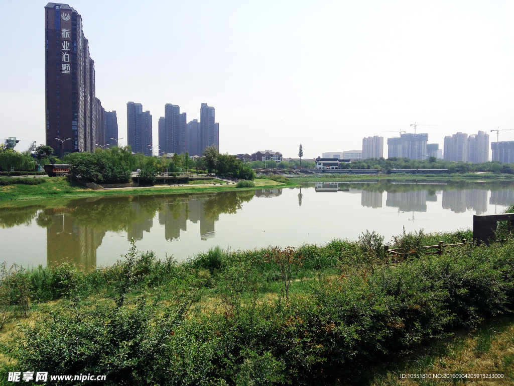 灞桥湿地公园