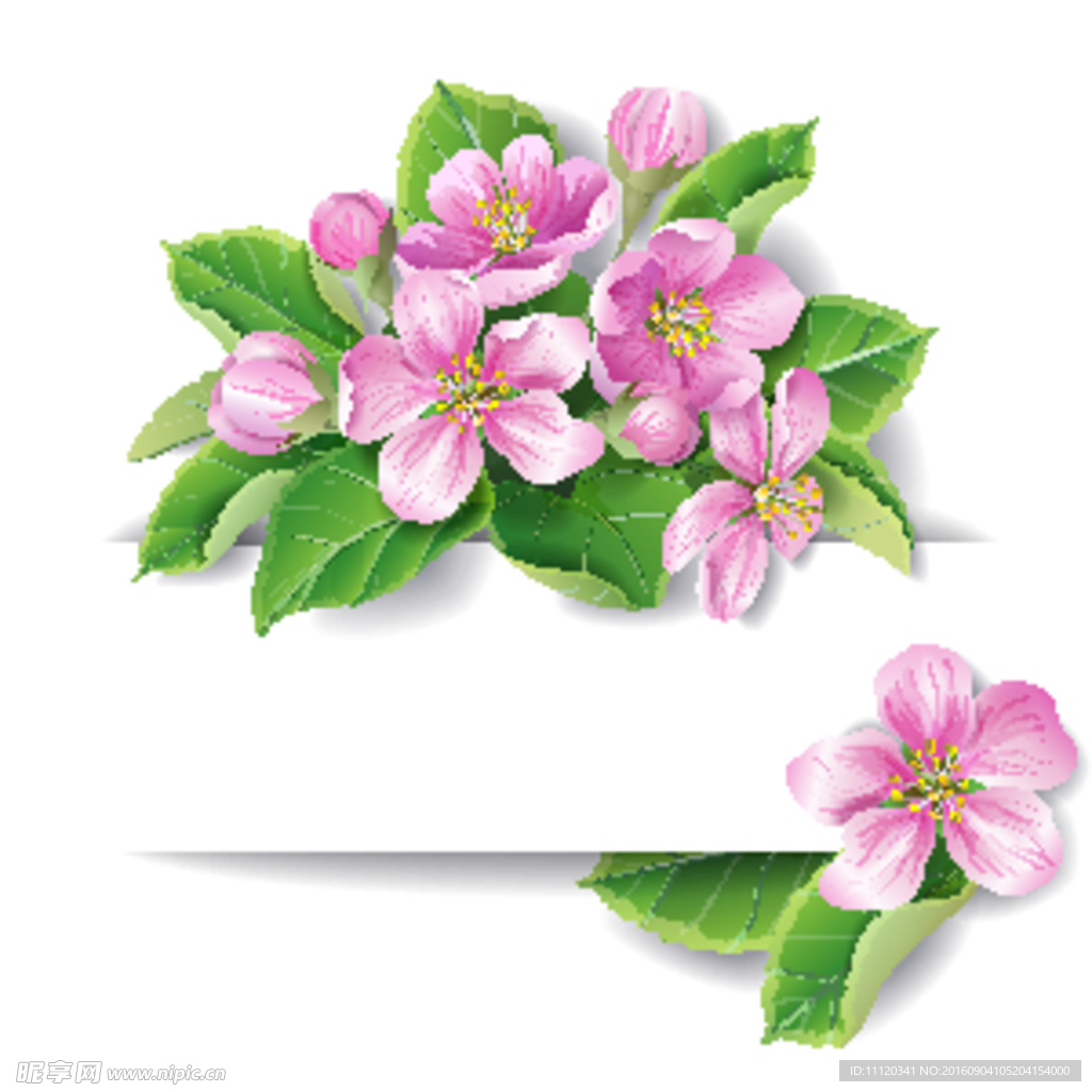 精美粉色花朵装饰banner