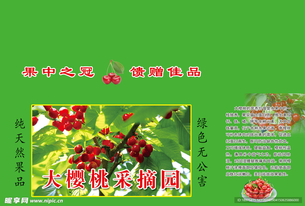 大樱桃
