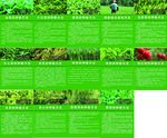 农作物的种植方法以及病虫害的防