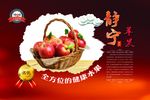 静宁红富士苹果海报设计