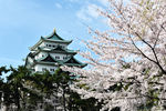日本风情