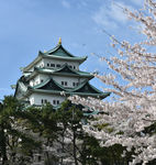 日本风情