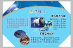 科技版面