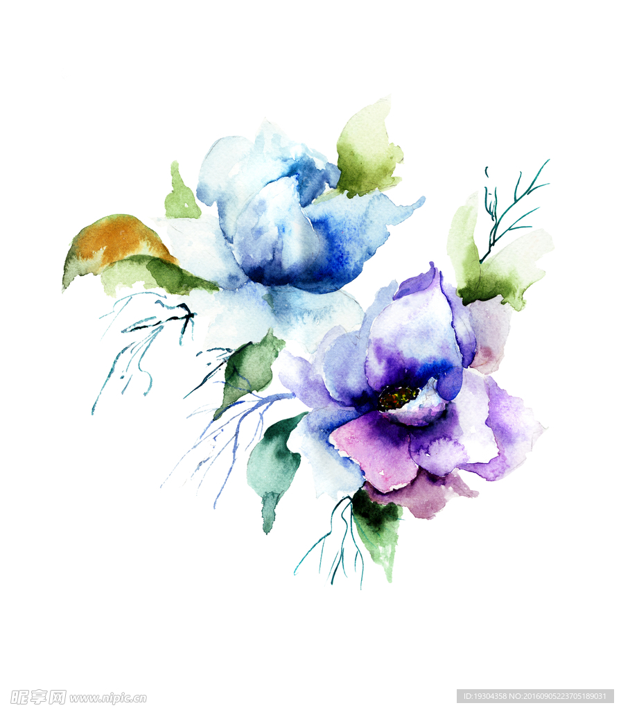 水彩蓝花