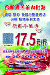 羊肉批发