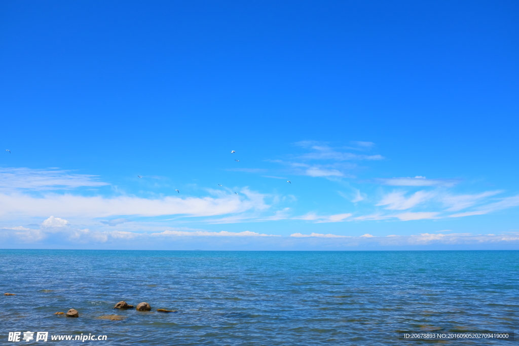 青海湖