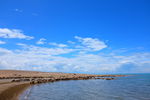 青海湖