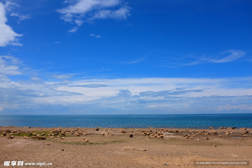 青海湖