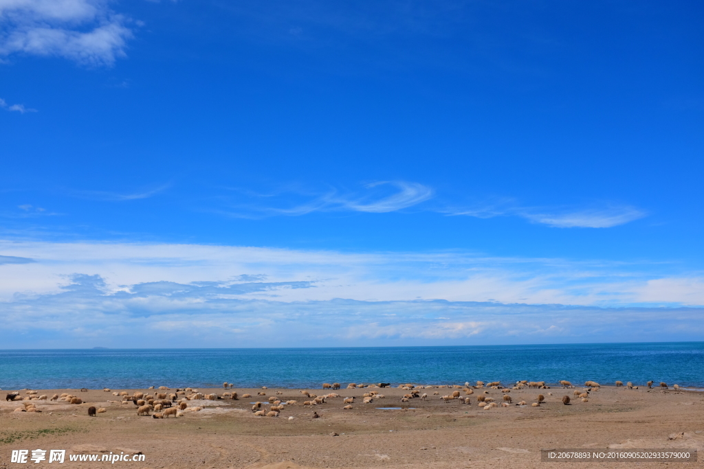 青海湖