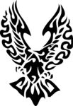 鸟类