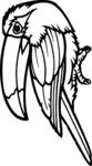 鸟类