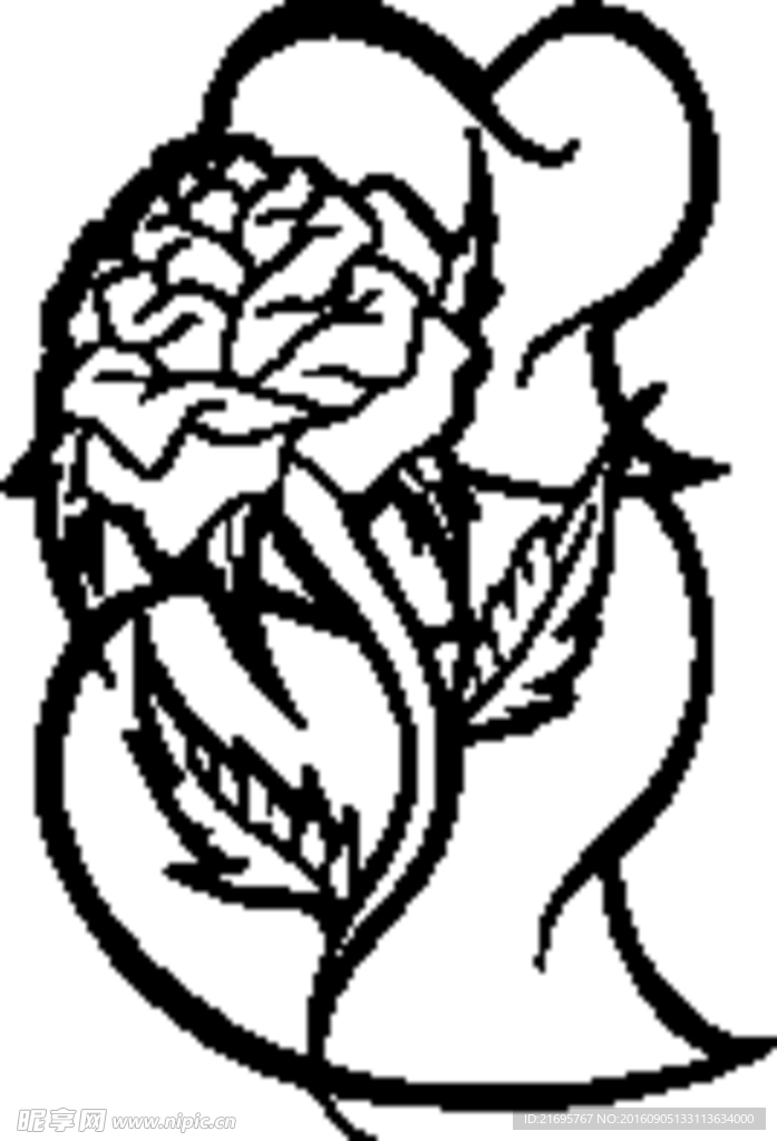 花纹
