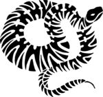 蛇形花纹