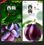 西梅