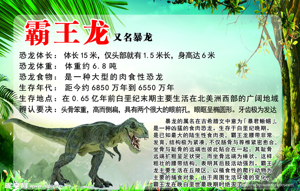 恐龙
