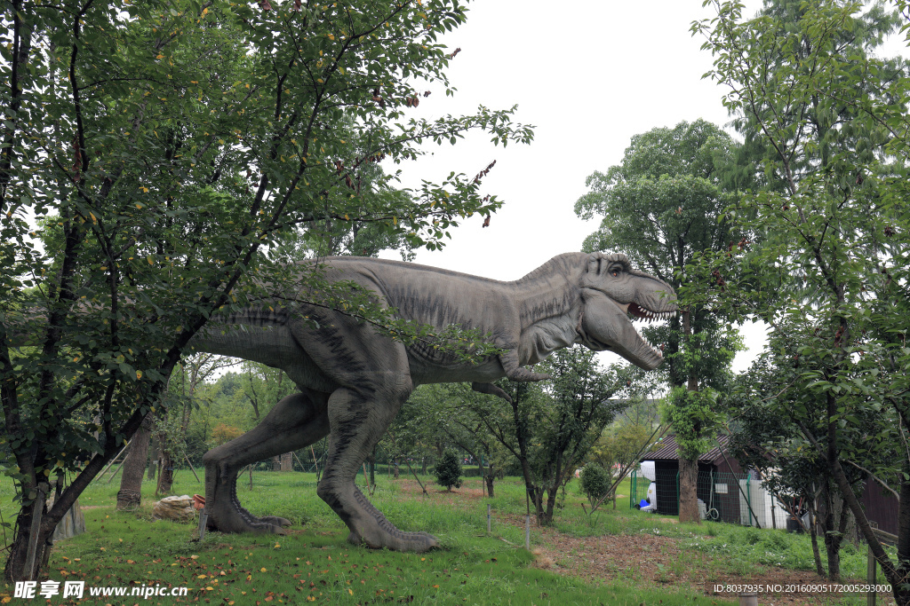 恐龙公园