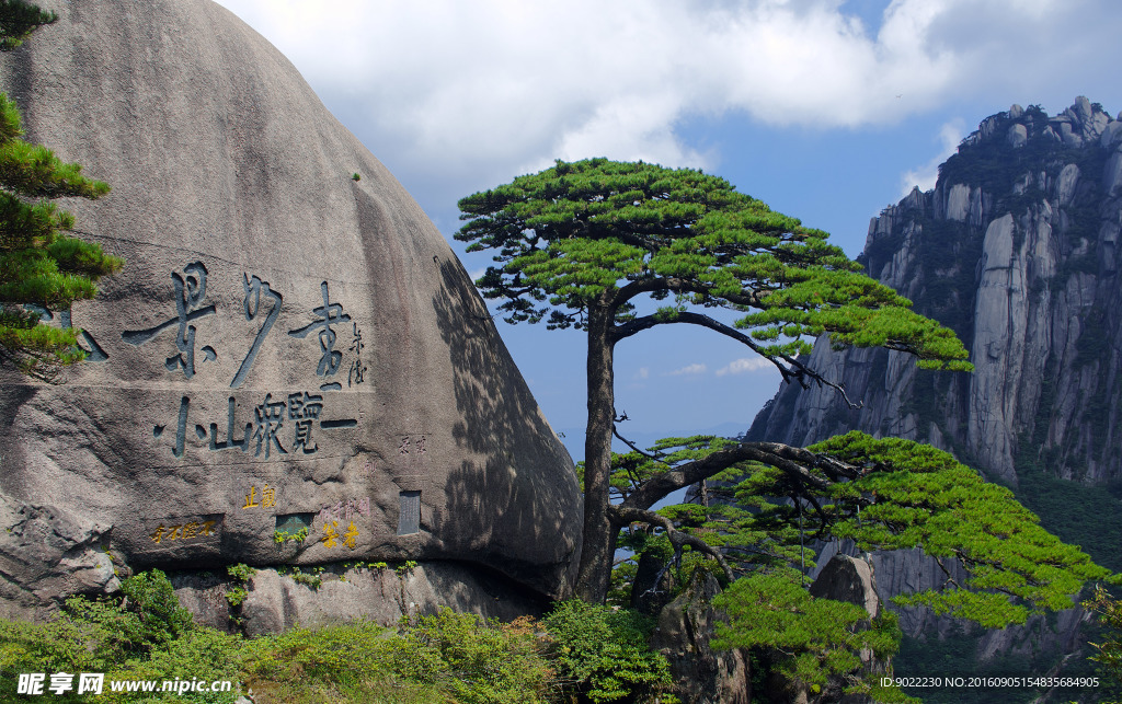 黄山印客松